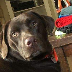 Meet your Posher, Mady jo